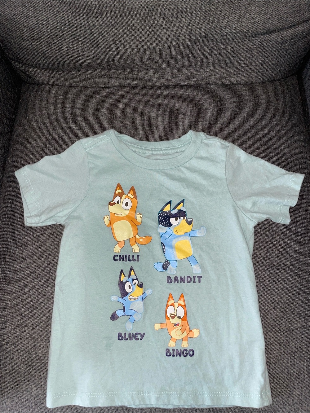 Bluey Light Blue Toddler T‑Shirt